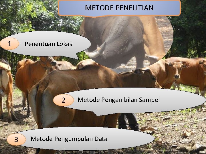 METODE PENELITIAN 1 Penentuan Lokasi 2 3 Metode Pengambilan Sampel Metode Pengumpulan Data 