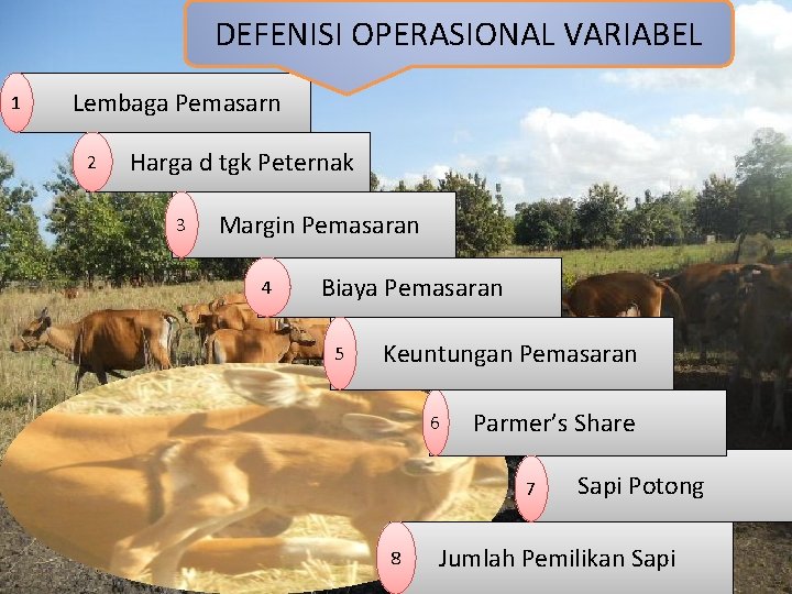 DEFENISI OPERASIONAL VARIABEL 1 Lembaga Pemasarn 2 Harga d tgk Peternak 3 Margin Pemasaran