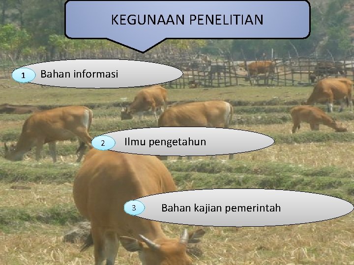 KEGUNAAN PENELITIAN 1 Bahan informasi 2 Ilmu pengetahun 3 Bahan kajian pemerintah 