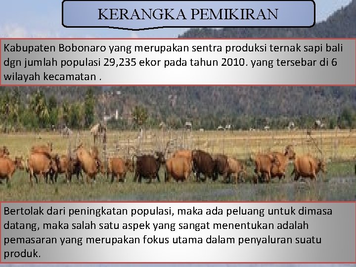 KERANGKA PEMIKIRAN Kabupaten Bobonaro yang merupakan sentra produksi ternak sapi bali dgn jumlah populasi