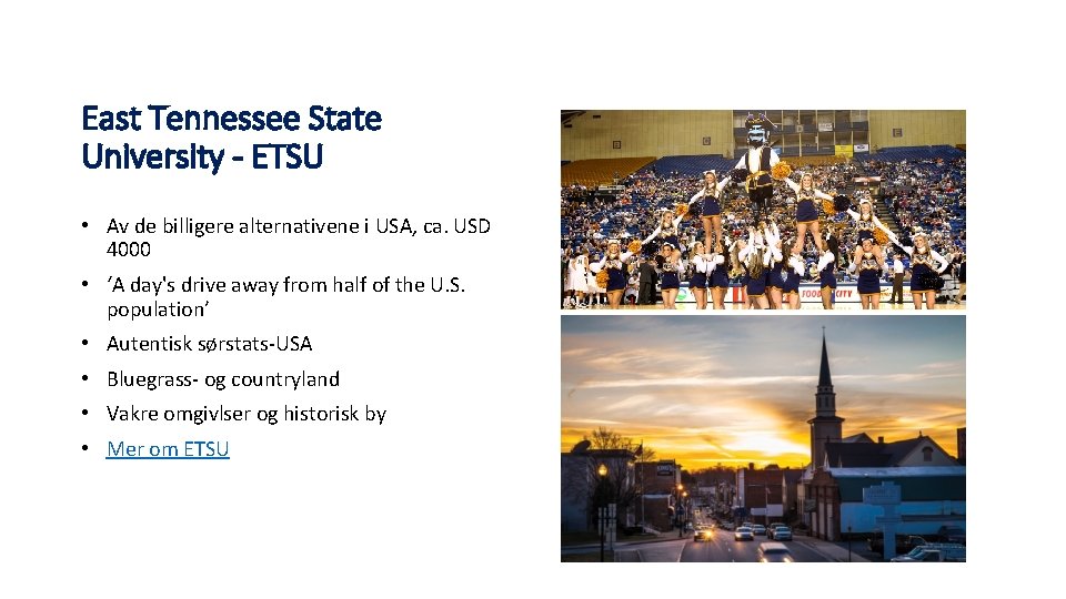 East Tennessee State University - ETSU • Av de billigere alternativene i USA, ca.
