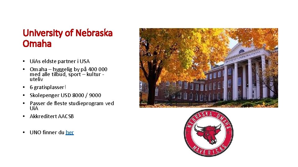 University of Nebraska Omaha • Ui. As eldste partner i USA • Omaha –