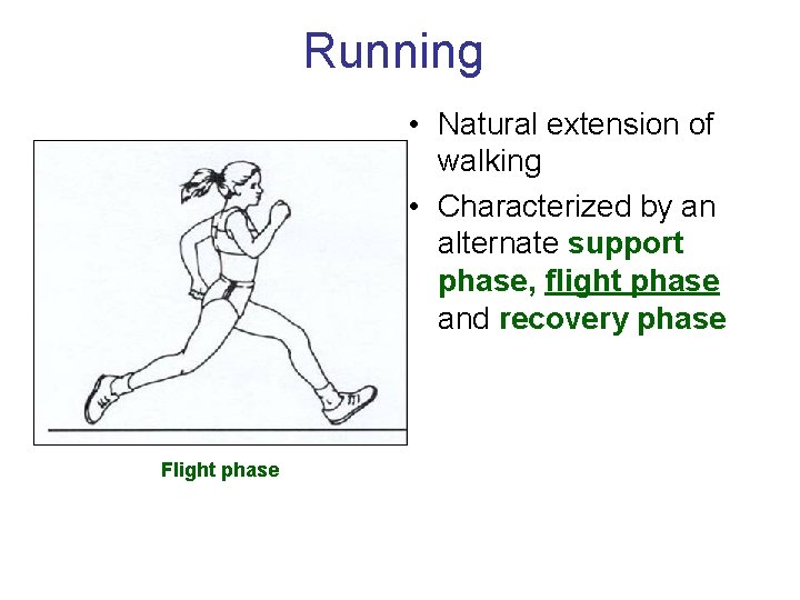 Running • Natural extension of walking • Characterized by an alternate support phase, flight