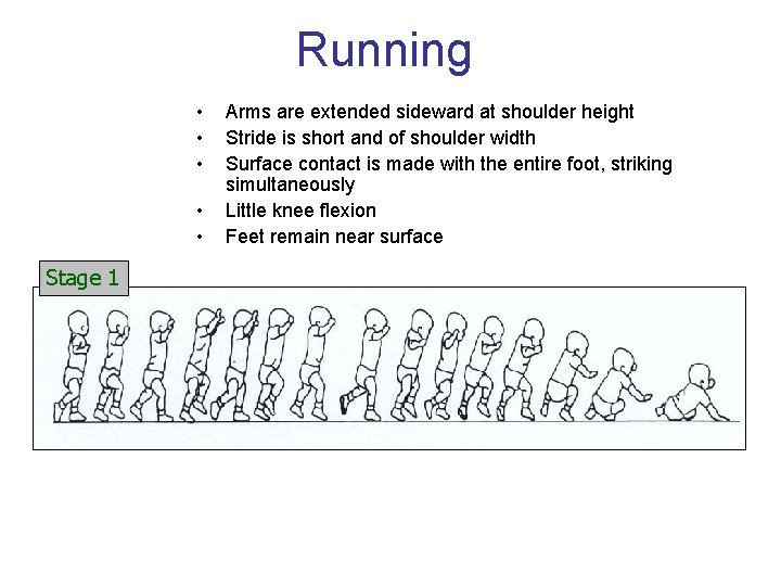 Running • • • Stage 1 Arms are extended sideward at shoulder height Stride