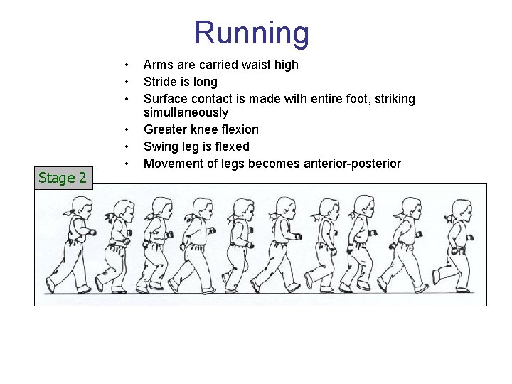 Running • • • Stage 2 • • • Arms are carried waist high