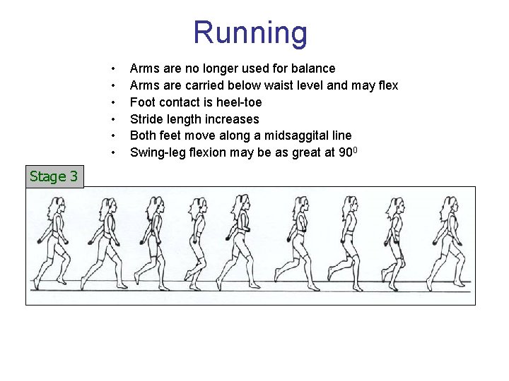 Running • • • Stage 3 Arms are no longer used for balance Arms