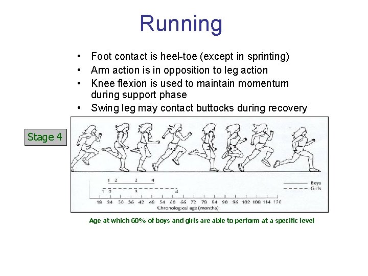 Running • Foot contact is heel-toe (except in sprinting) • Arm action is in