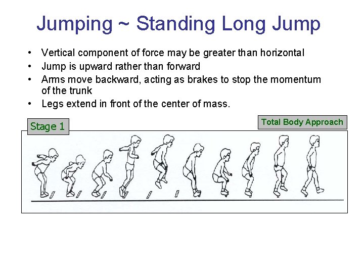 Jumping ~ Standing Long Jump • Vertical component of force may be greater than