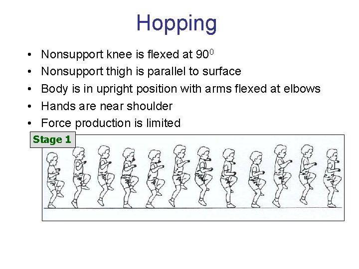 Hopping • • • Nonsupport knee is flexed at 900 Nonsupport thigh is parallel