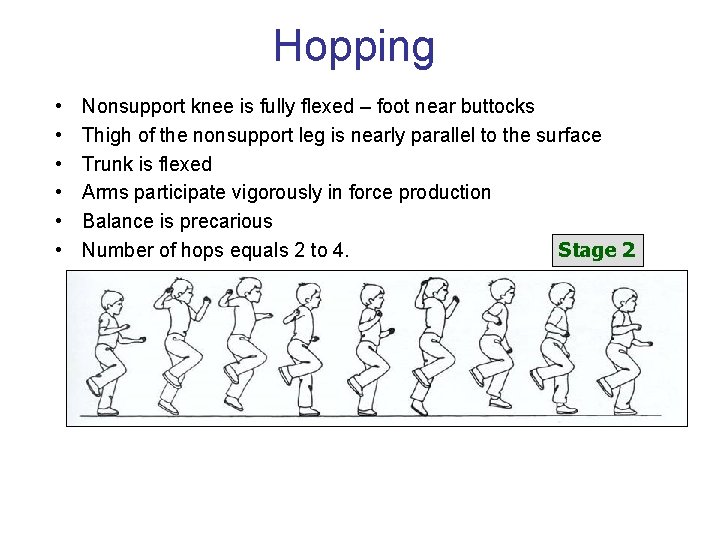 Hopping • • • Nonsupport knee is fully flexed – foot near buttocks Thigh