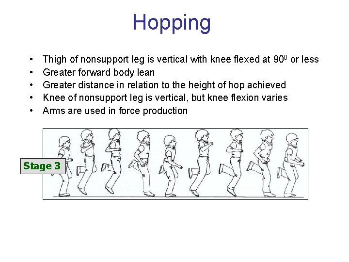 Hopping • • • Thigh of nonsupport leg is vertical with knee flexed at