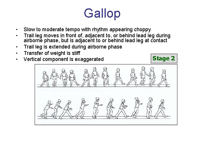 Gallop • • • Slow to moderate tempo with rhythm appearing choppy Trail leg