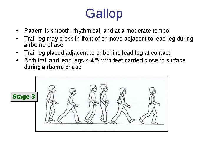 Gallop • Pattern is smooth, rhythmical, and at a moderate tempo • Trail leg