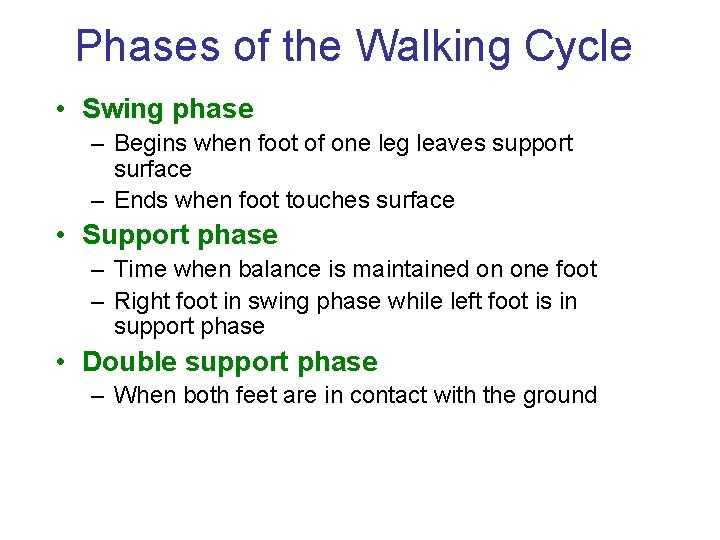 Phases of the Walking Cycle • Swing phase – Begins when foot of one