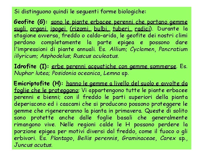 Si distinguono quindi le seguenti forme biologiche: Geofite (G): sono le piante erbacee perenni