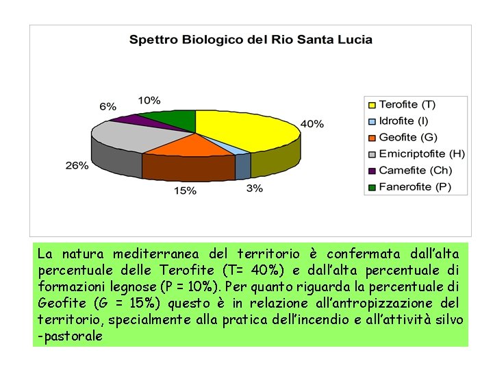 La natura mediterranea del territorio è confermata dall’alta percentuale delle Terofite (T= 40%) e