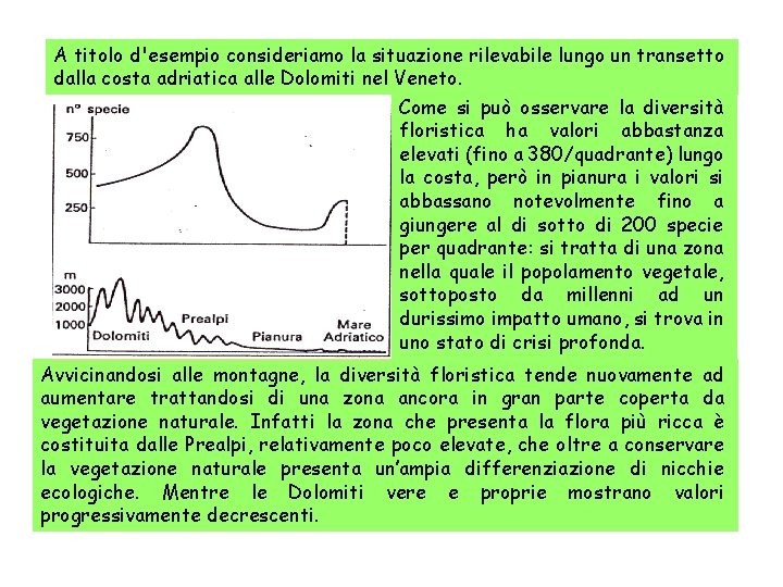 A titolo d'esempio consideriamo la situazione rilevabile lungo un transetto dalla costa adriatica alle