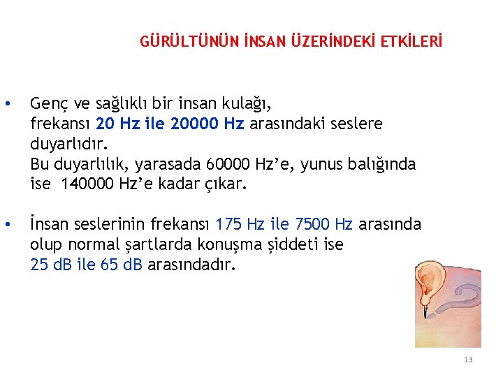 GÜRÜLTÜNÜN İNSAN ÜZERİNDEKİ ETKİLERİ • Genç ve sağlıklı bir insan kulağı, frekansı 20 Hz