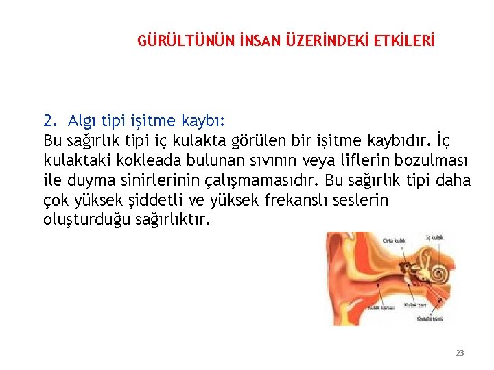 GÜRÜLTÜNÜN İNSAN ÜZERİNDEKİ ETKİLERİ 2. Algı tipi işitme kaybı: Bu sağırlık tipi iç kulakta