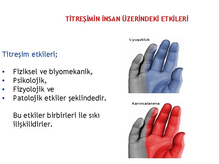 TİTREŞİMİN İNSAN ÜZERİNDEKİ ETKİLERİ Titreşim etkileri; • • Fiziksel ve biyomekanik, Psikolojik, Fizyolojik ve