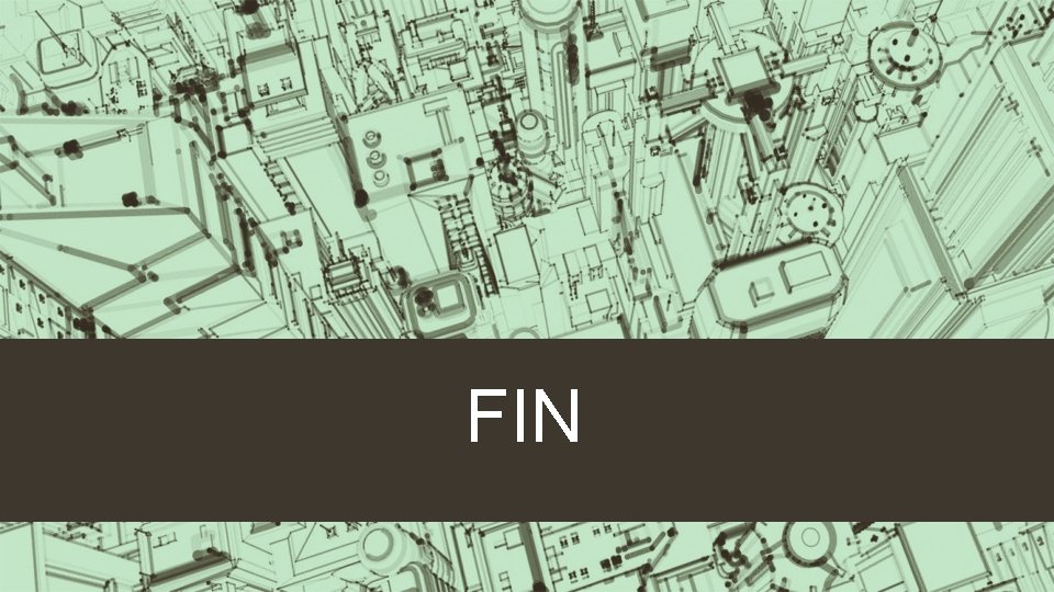 FIN 