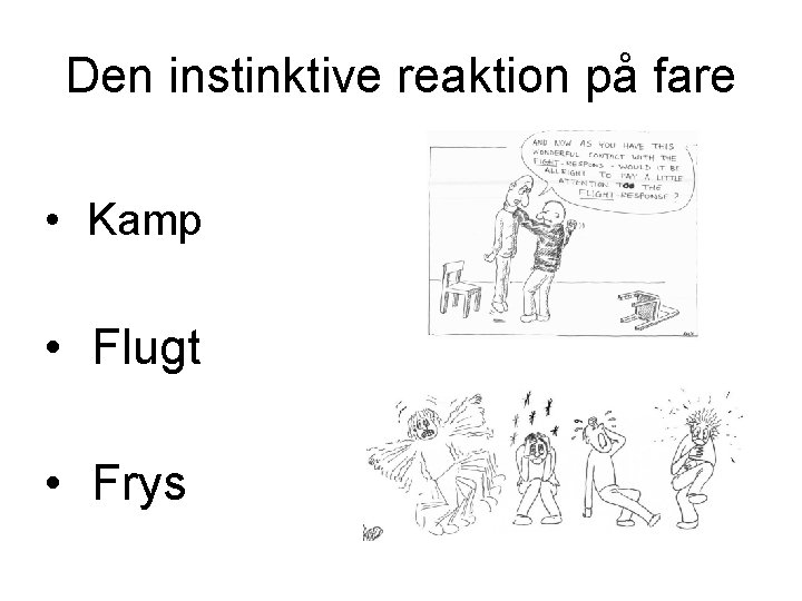 Den instinktive reaktion på fare • Kamp • Flugt • Frys 