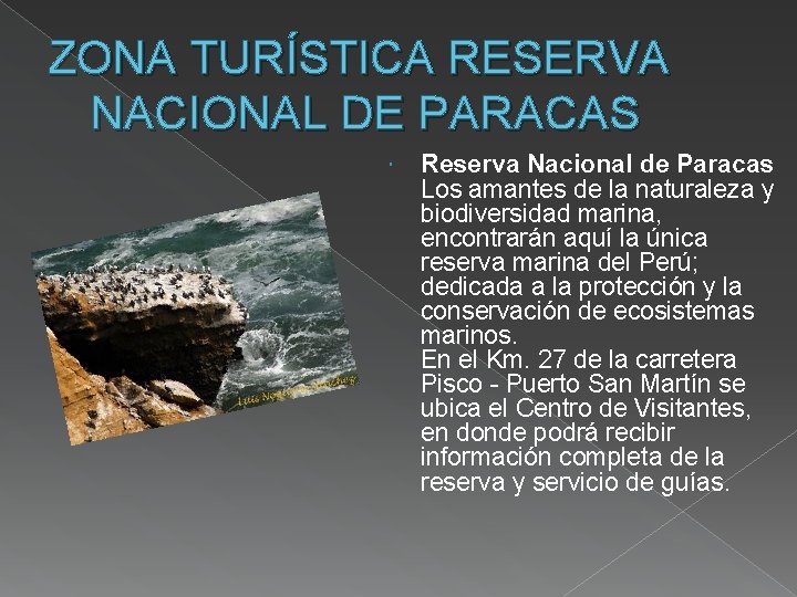 ZONA TURÍSTICA RESERVA NACIONAL DE PARACAS Reserva Nacional de Paracas Los amantes de la