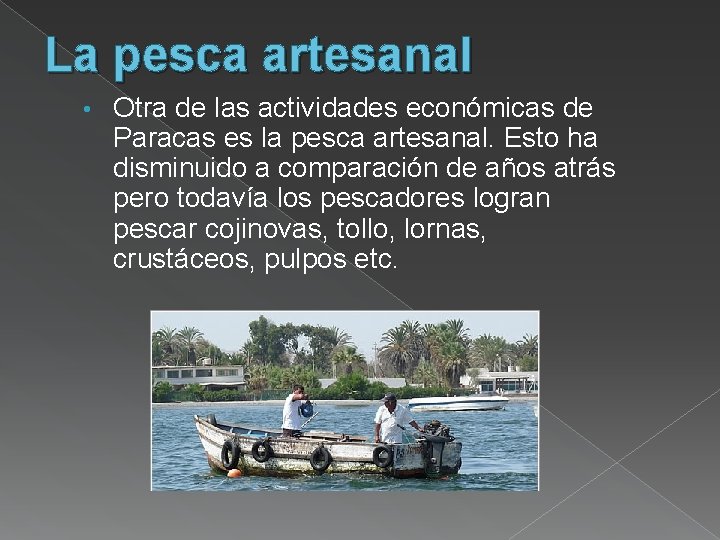 La pesca artesanal • Otra de las actividades económicas de Paracas es la pesca