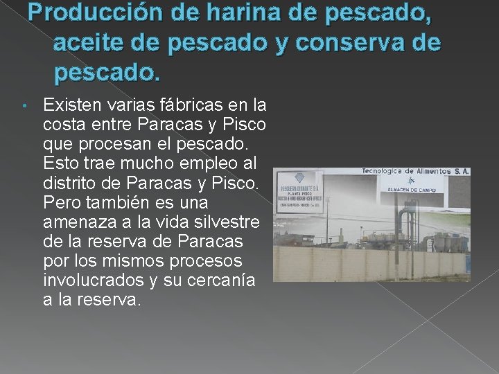 Producción de harina de pescado, aceite de pescado y conserva de pescado. • Existen