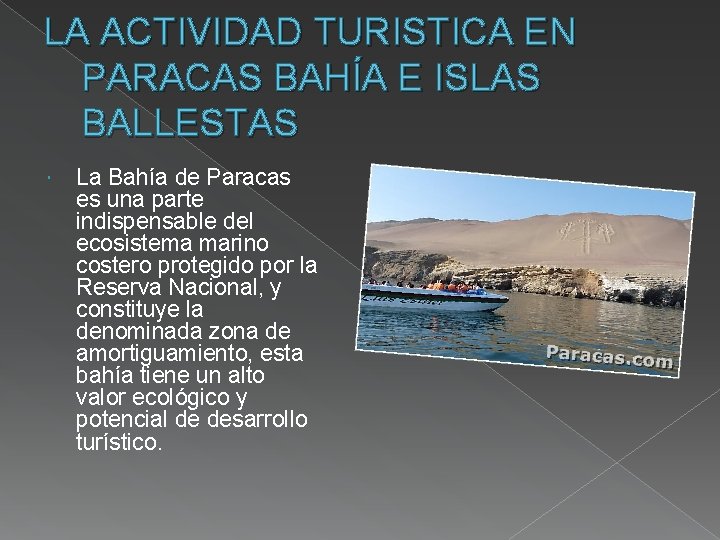 LA ACTIVIDAD TURISTICA EN PARACAS BAHÍA E ISLAS BALLESTAS La Bahía de Paracas es