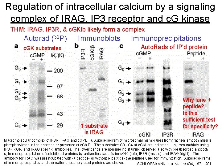 Regulation of intracellular calcium by a signaling complex of IRAG, IP 3 receptor and