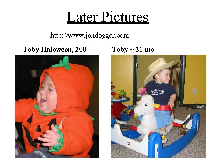 Later Pictures http: //www. jendogger. com Toby Haloween, 2004 Toby ~ 21 mo 31