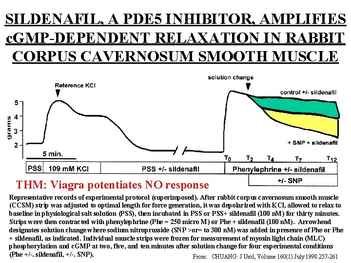 SILDENAFIL, A PDE 5 INHIBITOR, AMPLIFIES c. GMP-DEPENDENT RELAXATION IN RABBIT CORPUS CAVERNOSUM SMOOTH