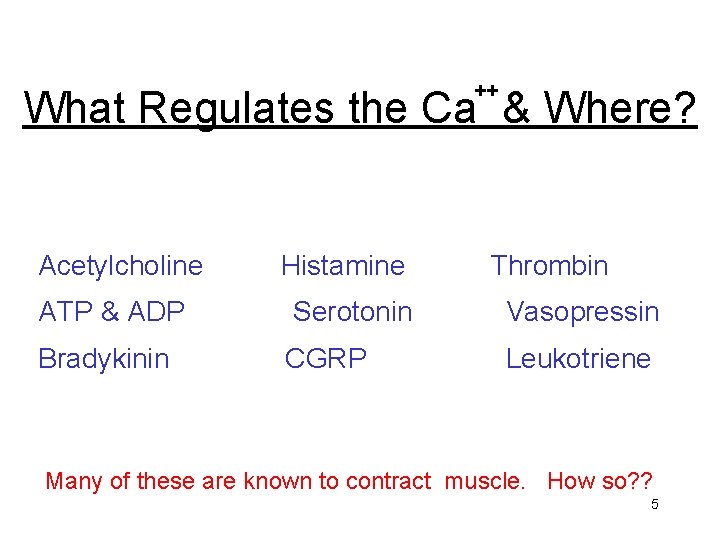 ++ What Regulates the Ca & Where? Acetylcholine Histamine Thrombin ATP & ADP Serotonin