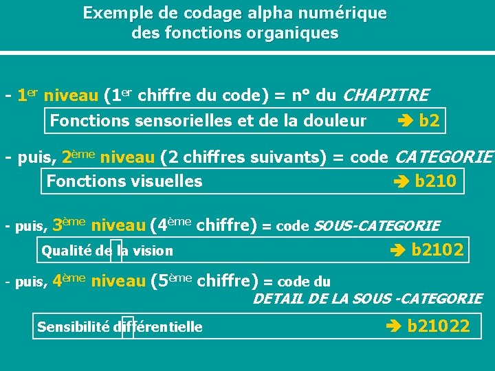 Exemple de codage alpha numérique des fonctions organiques - 1 er niveau (1 er
