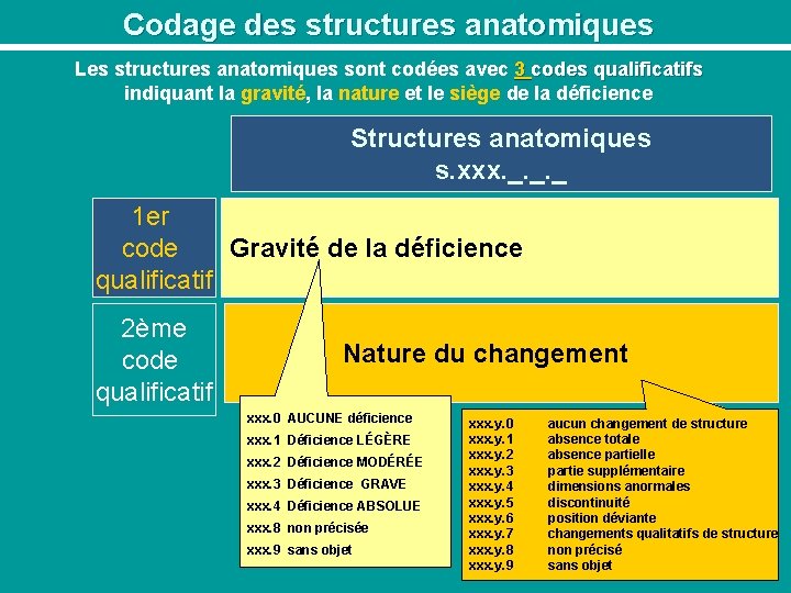 Codage des structures anatomiques Les structures anatomiques sont codées avec 3 codes qualificatifs indiquant