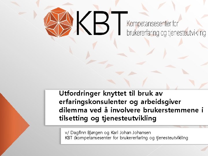 Utfordringer knyttet til bruk av erfaringskonsulenter og arbeidsgiver dilemma ved å involvere brukerstemmene i