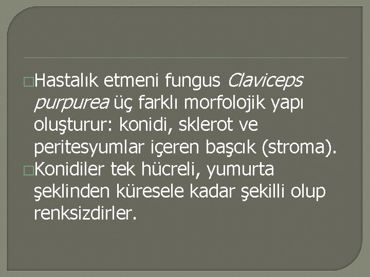 etmeni fungus Claviceps purpurea üç farklı morfolojik yapı oluşturur: konidi, sklerot ve peritesyumlar içeren etmeni fungus Claviceps purpurea üç farklı morfolojik yapı oluşturur: konidi, sklerot ve peritesyumlar içeren