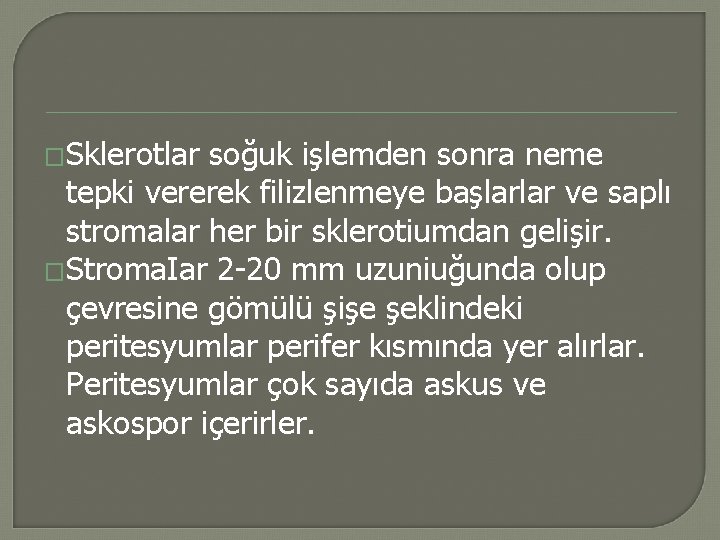 �Sklerotlar soğuk işlemden sonra neme tepki vererek filizlenmeye başlarlar ve saplı stromalar her bir