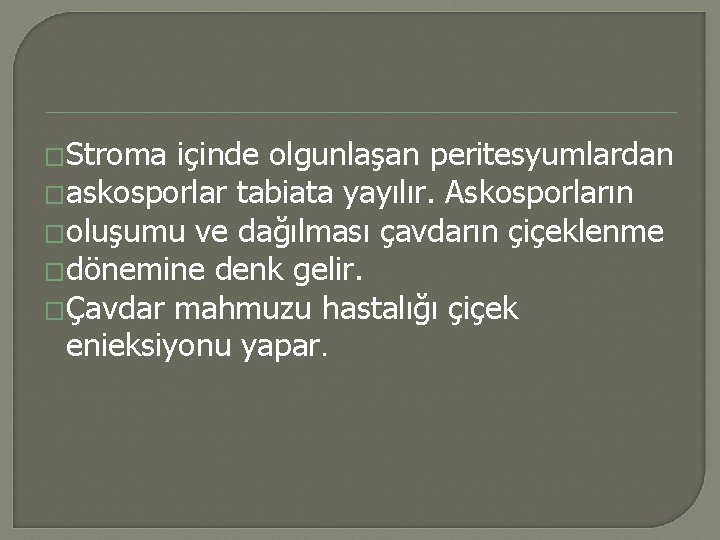 �Stroma içinde olgunlaşan peritesyumlardan �askosporlar tabiata yayılır. Askosporların �oluşumu ve dağılması çavdarın çiçeklenme �dönemine