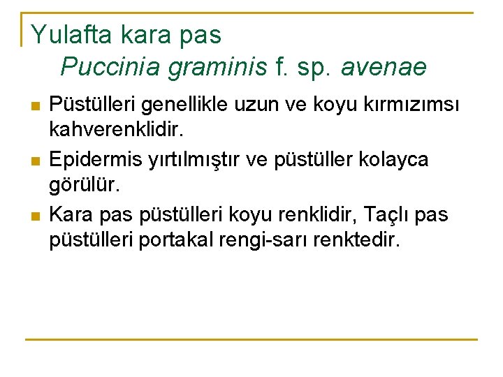 Yulafta kara pas Puccinia graminis f. sp. avenae n n n Püstülleri genellikle uzun