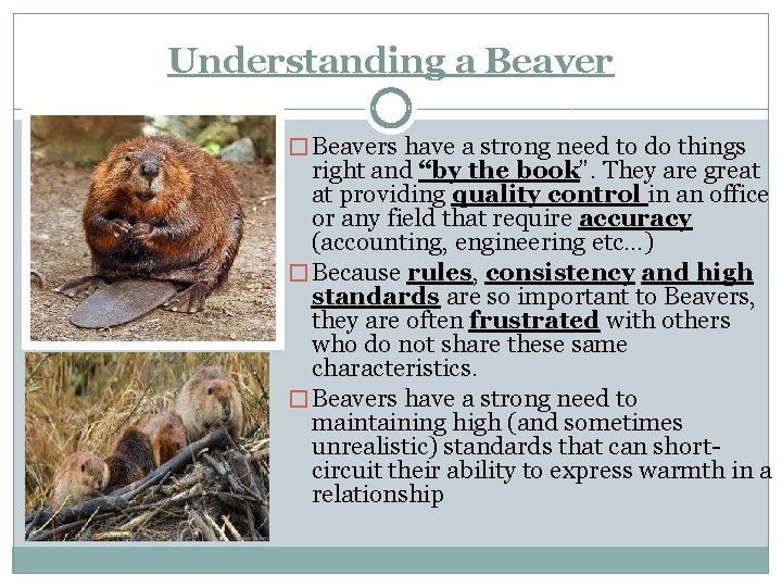 Test personality lion otter beaver An Overview