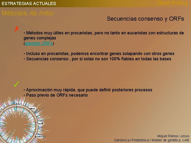 Gene finding ESTRATEGIAS ACTUALES Métodos Ab Initio ✗ Secuencias consenso y ORFs • Métodos