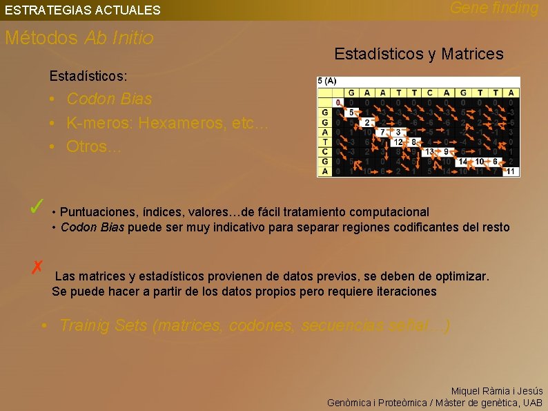 Gene finding ESTRATEGIAS ACTUALES Métodos Ab Initio Estadísticos y Matrices Estadísticos: • Codon Bias