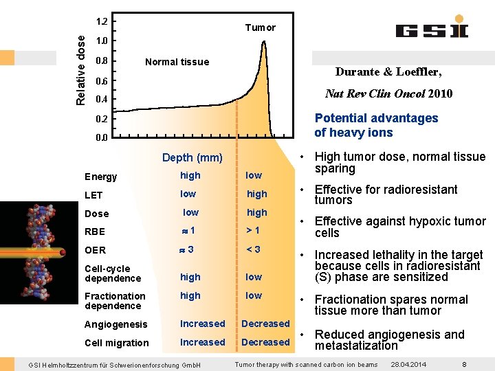 Relative dose 1. 2 Tumor 1. 0 0. 8 Normal tissue Durante & Loeffler,