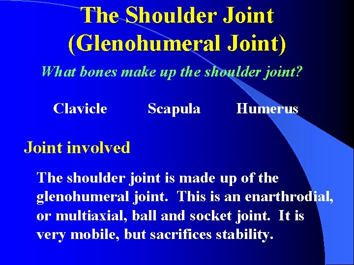 The Shoulder Joint (Glenohumeral Joint) What bones make up the shoulder joint? Clavicle Scapula