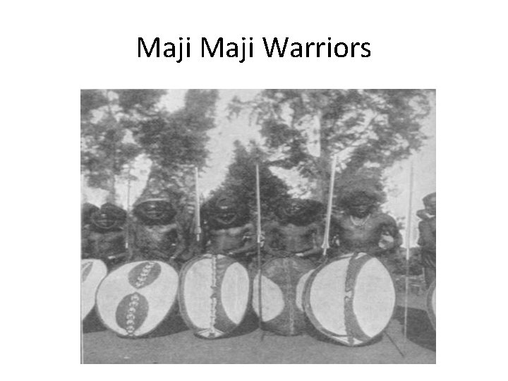 Maji Warriors 