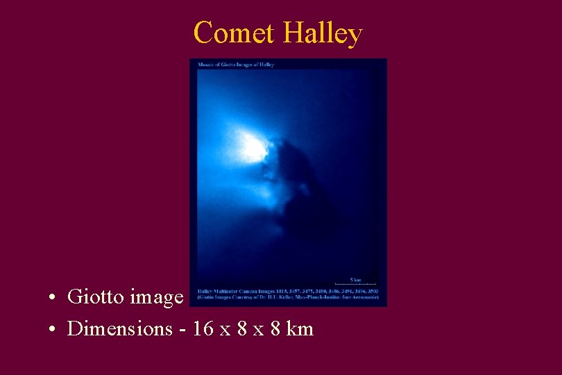 Comet Halley • Giotto image • Dimensions - 16 x 8 km 