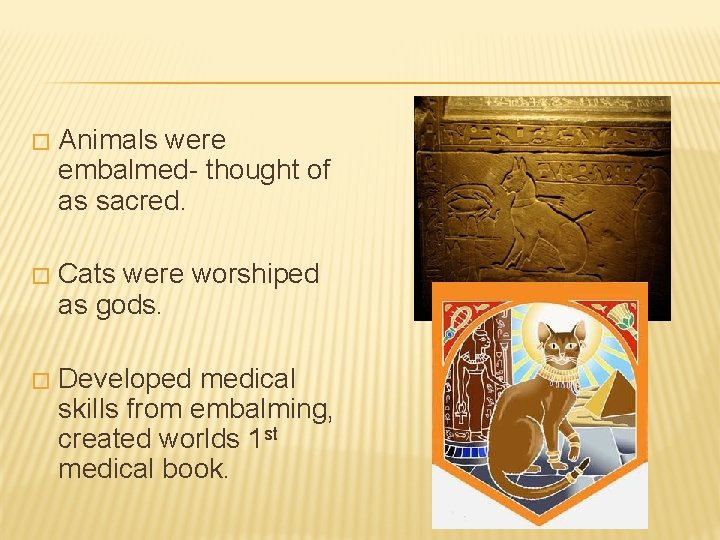 � Animals were embalmed- thought of as sacred. � Cats were worshiped as gods.