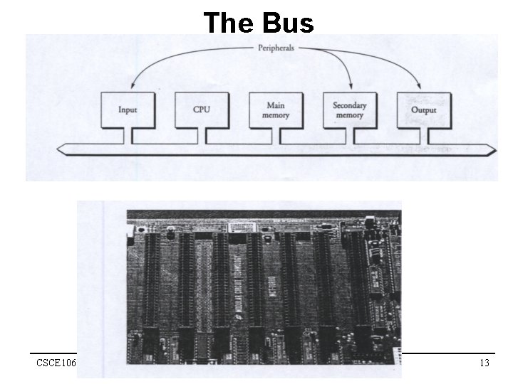 The Bus CSCE 106 13 